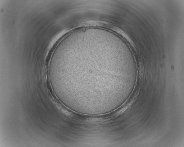 X0000080181075200612221310