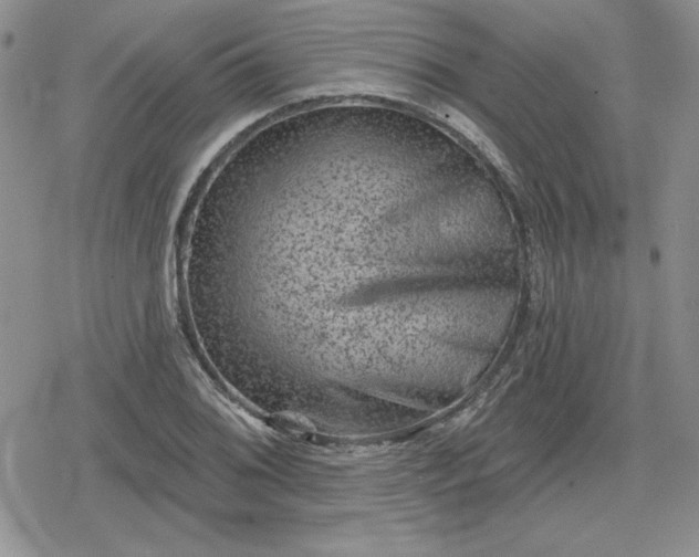 X0000080181076200612221310