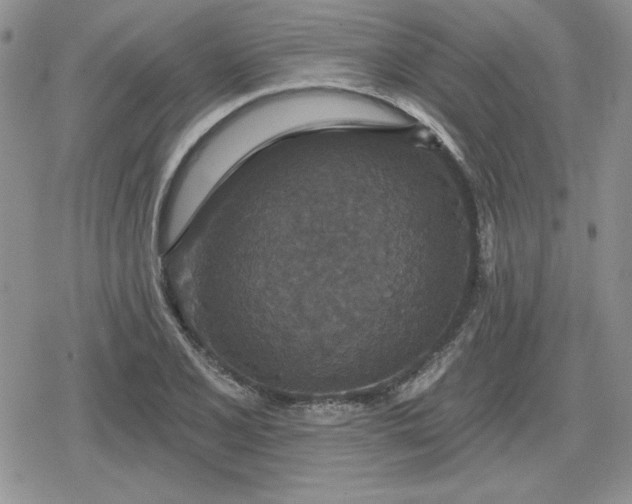 X0000080181077200612221310