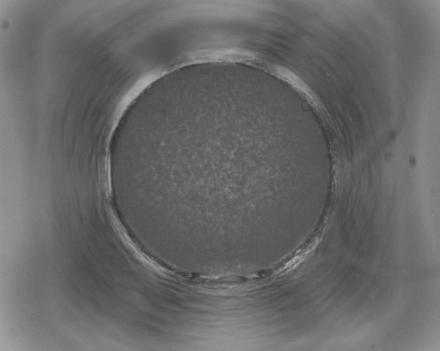 X0000080181079200612221310