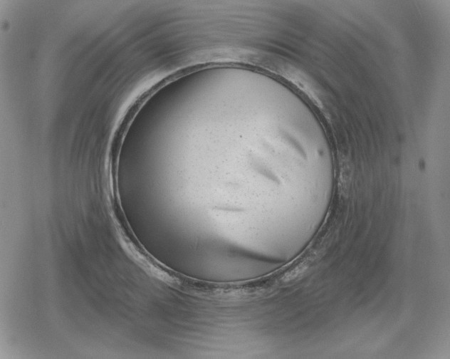 X0000080181080200612221310