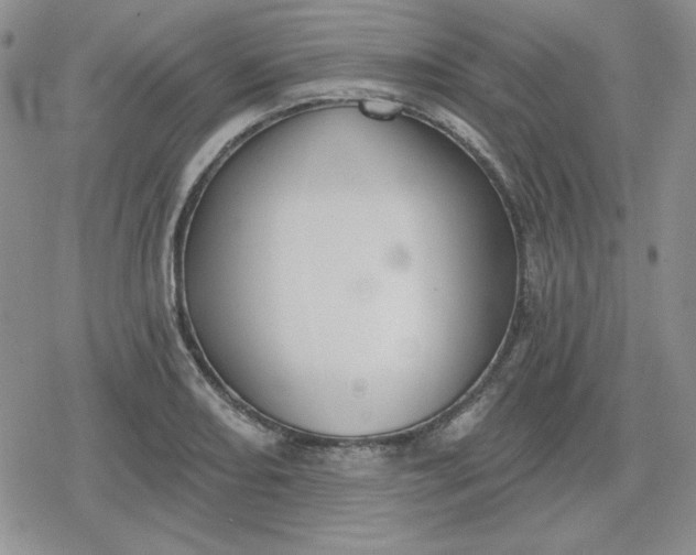 X0000080181082200612221310