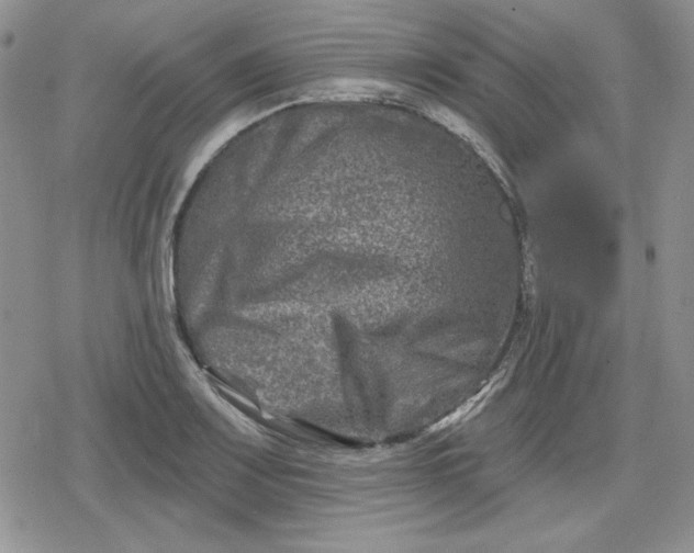 X0000080181083200612221310