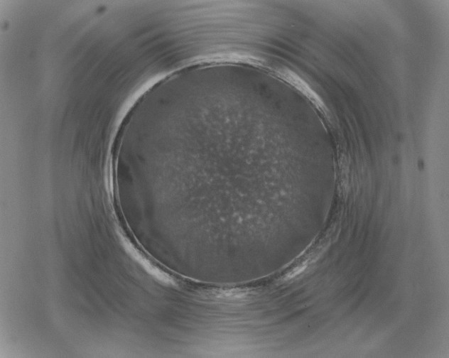 X0000080181084200612221310