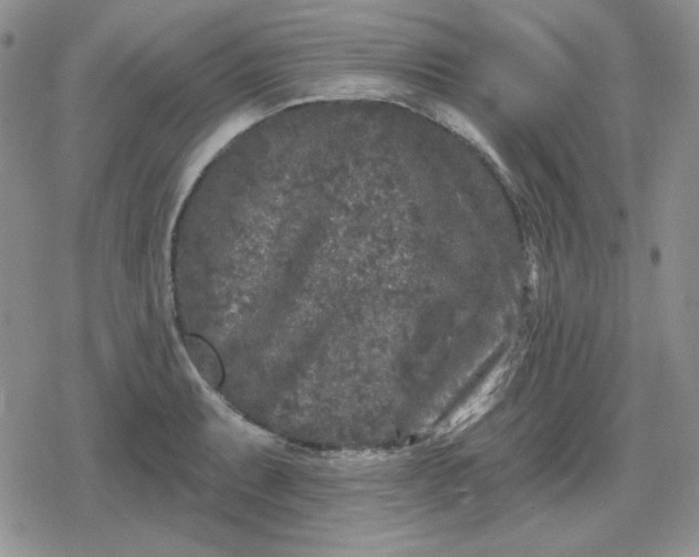 X0000080181087200612221310