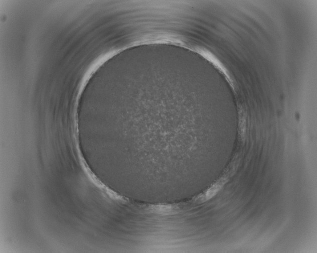 X0000080181088200612221310