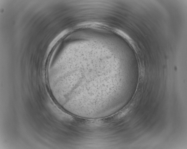 X0000080181090200612221310