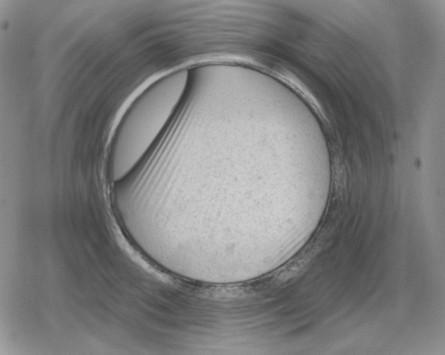 X0000080181092200612221309