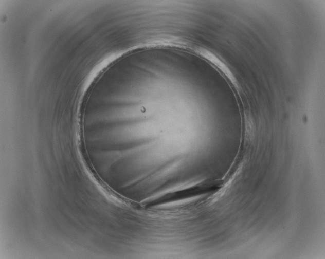 X0000080181093200612221309