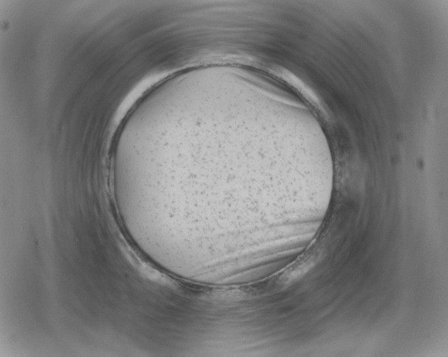 X0000080181094200612221309