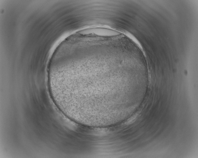 X0000080181096200612221309