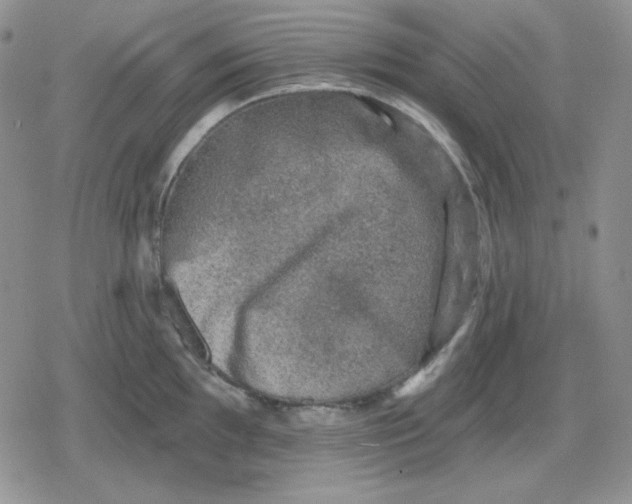 X0000080181097200612221309