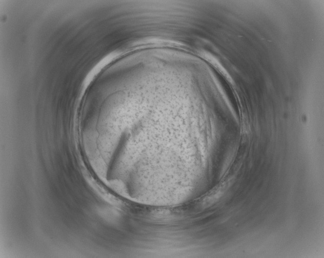 X0000080181098200612221309