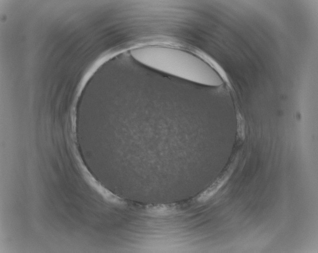 X0000080181099200612221309