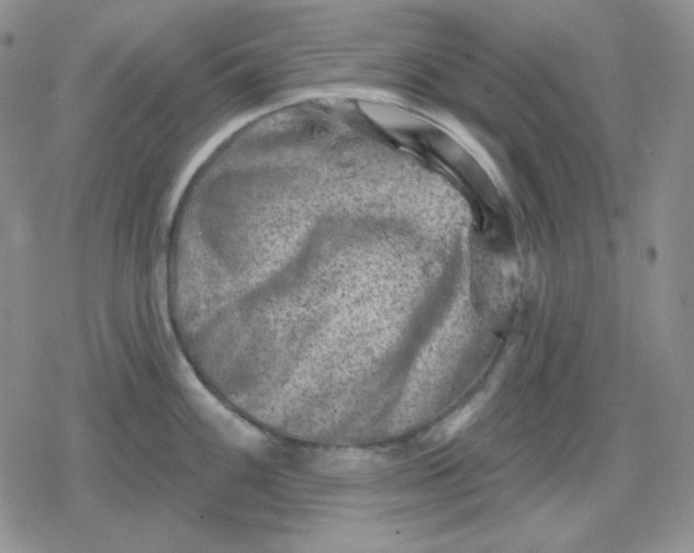 X0000080181100200612221309