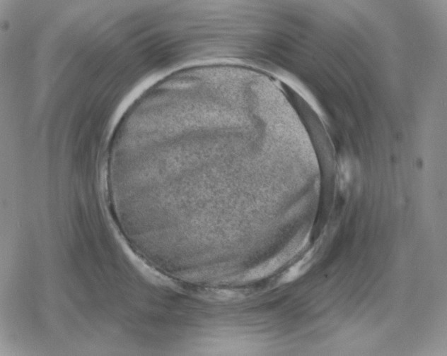 X0000080181101200612221309