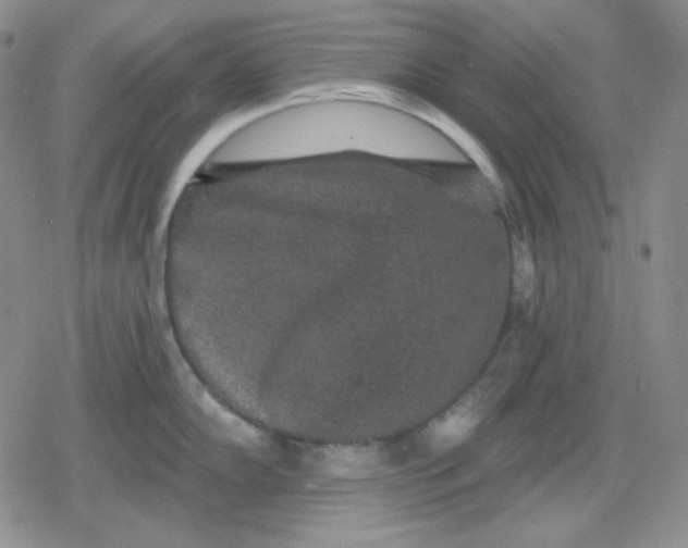 X0000080181102200612221309