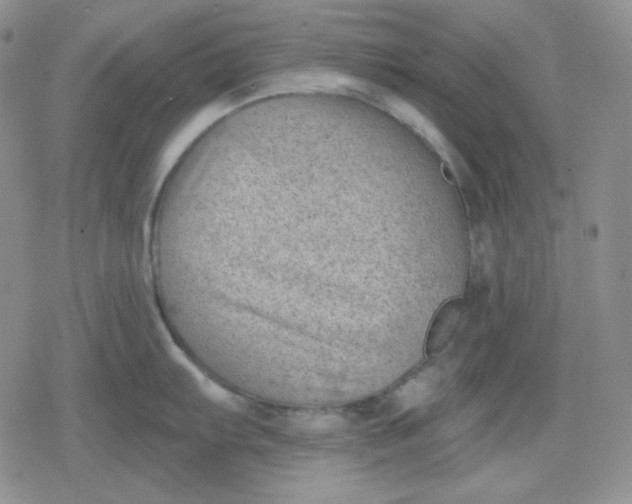 X0000080181103200612221309