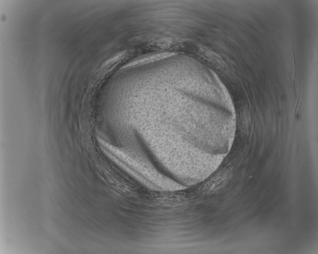 X0000080181105200612221309