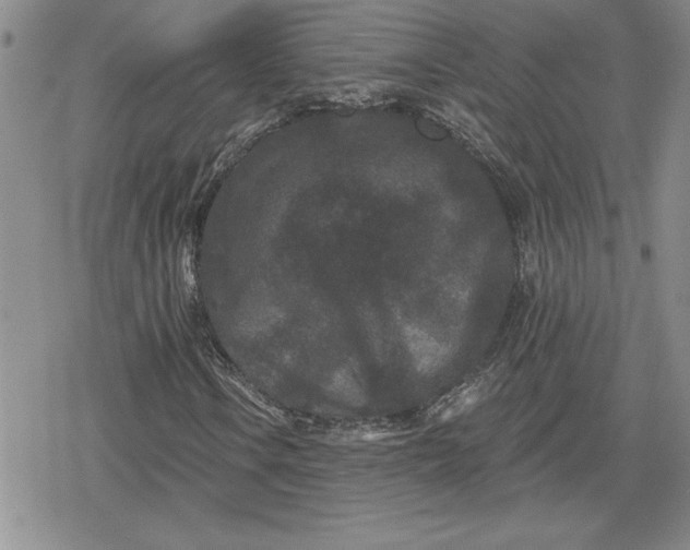 X0000080181106200612221309