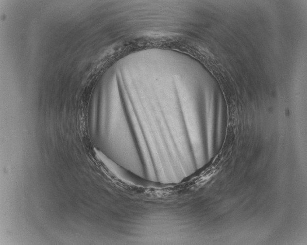 X0000080181109200612221309