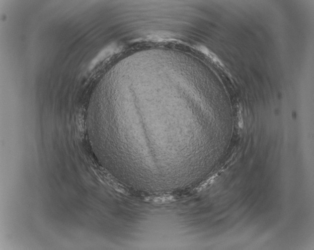 X0000080181110200612221309