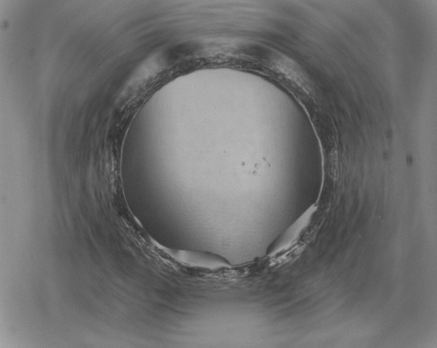 X0000080181111200612221309