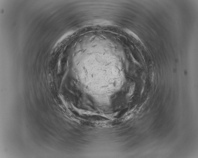 X0000080181112200612221309