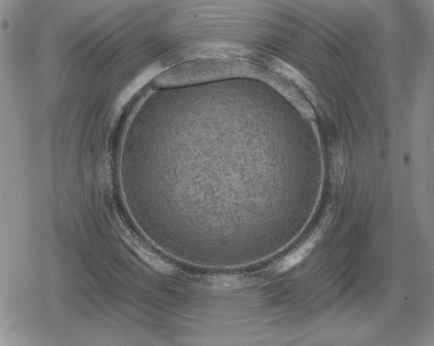 X0000080181114200612221309