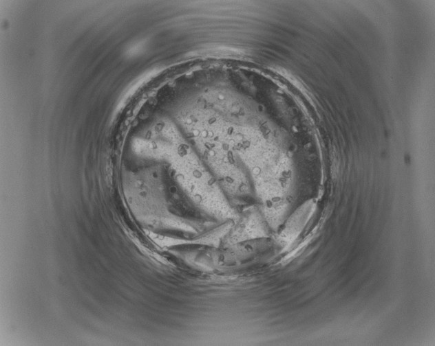 X0000080181115200612221309