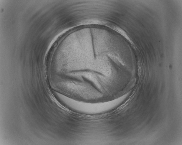 X0000080181116200612221309