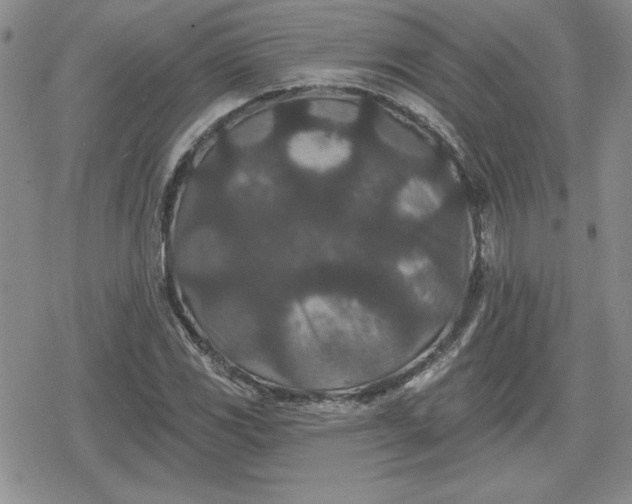 X0000080181117200612221309