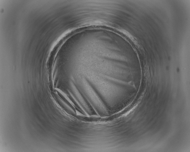 X0000080181118200612221309