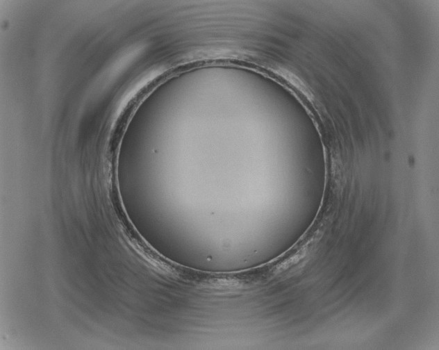 X0000080181119200612221309