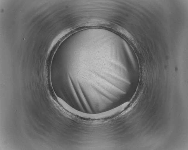 X0000080181122200612221309