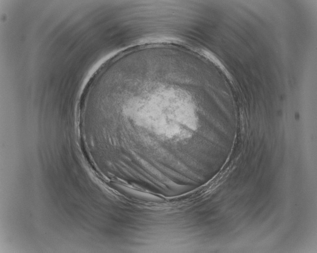 X0000080181124200612221309