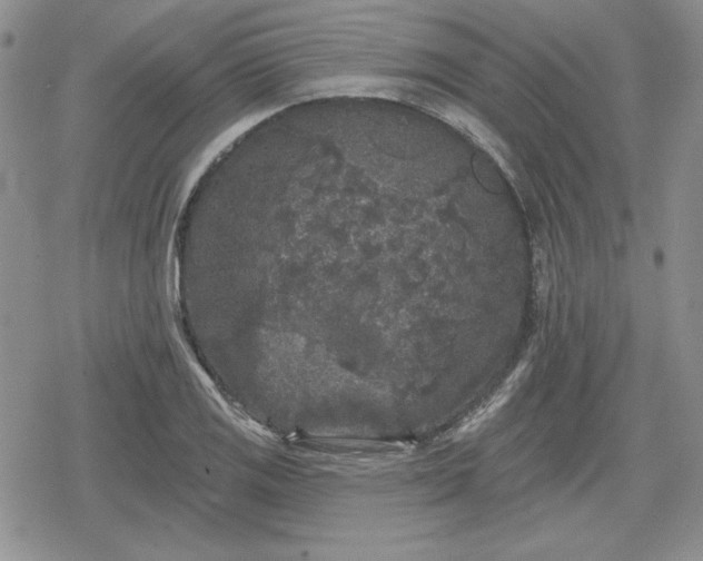 X0000080181125200612221309