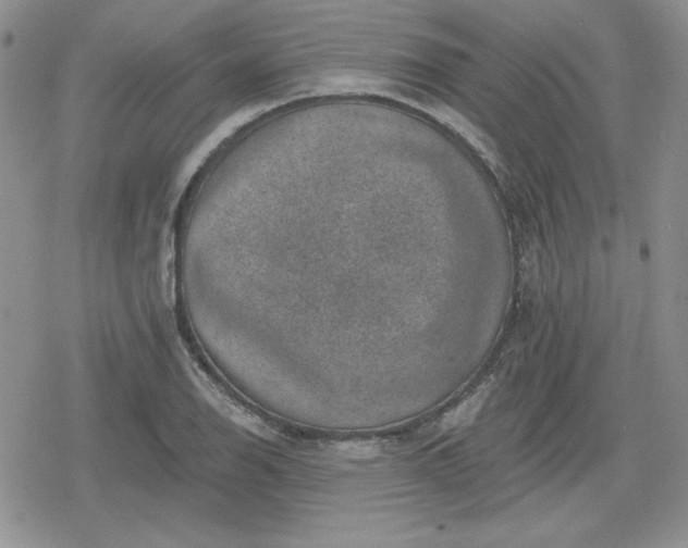 X0000080181126200612221309