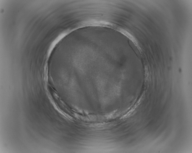 X0000080181128200612221309