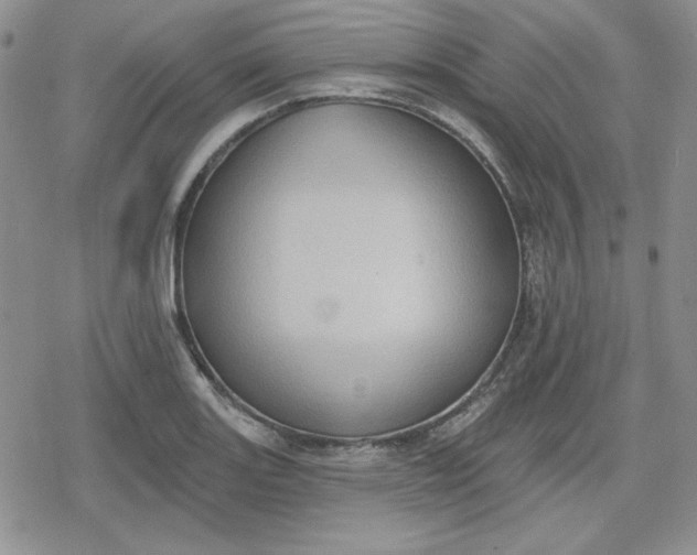 X0000080181131200612221309