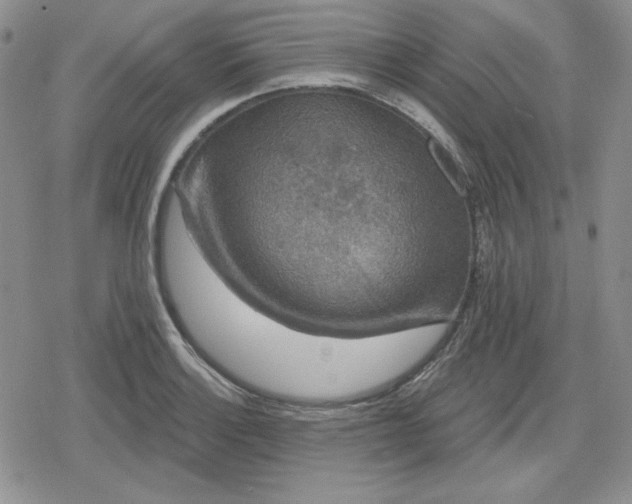 X0000080181132200612221309