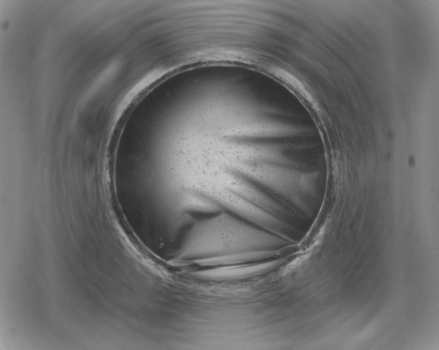 X0000080181133200612221309