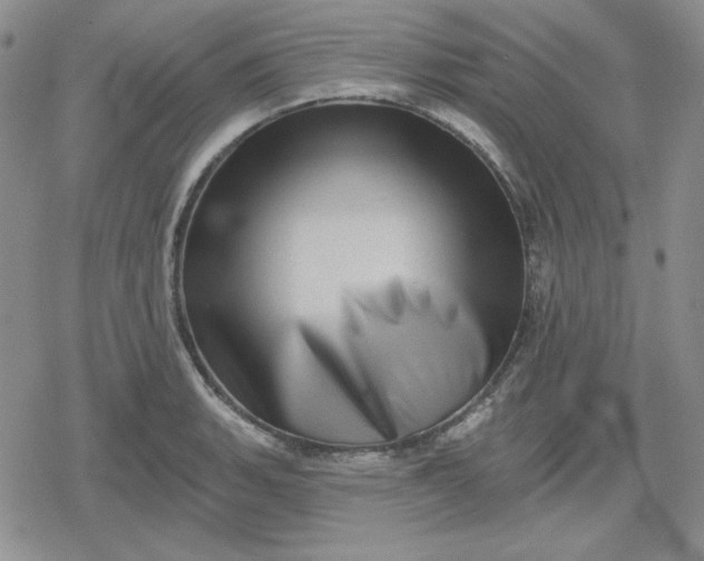 X0000080181135200612221309