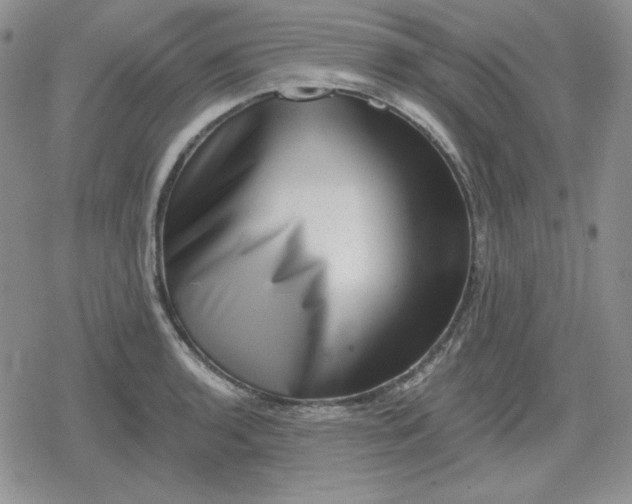 X0000080181136200612221309