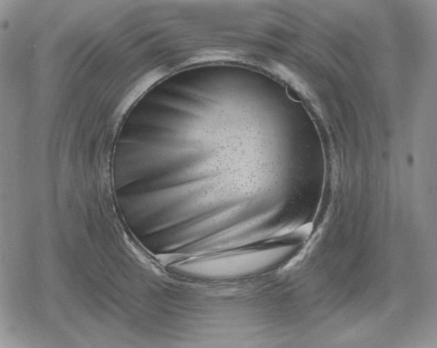 X0000080181137200612221309