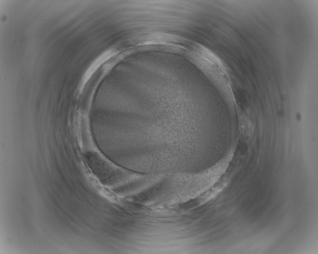 X0000080181138200612221309