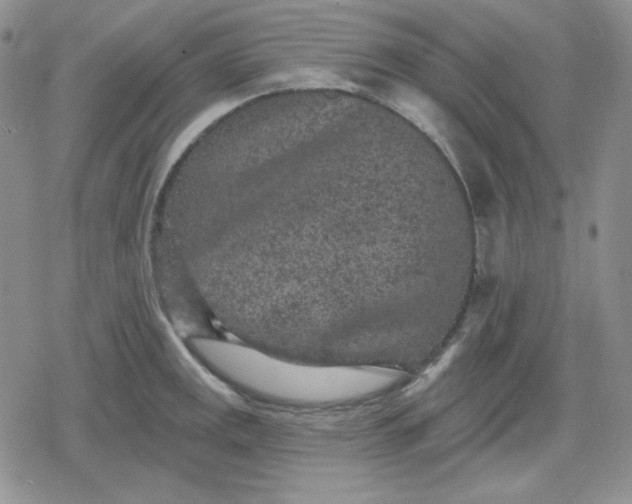 X0000080181141200612221309