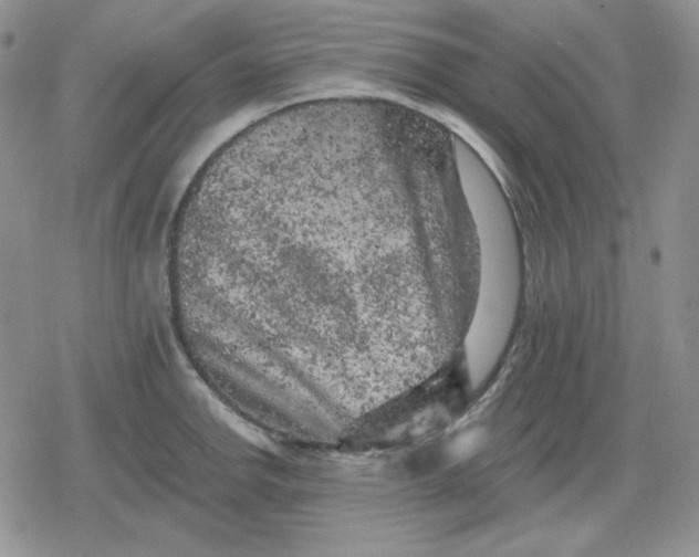 X0000080181142200612221309