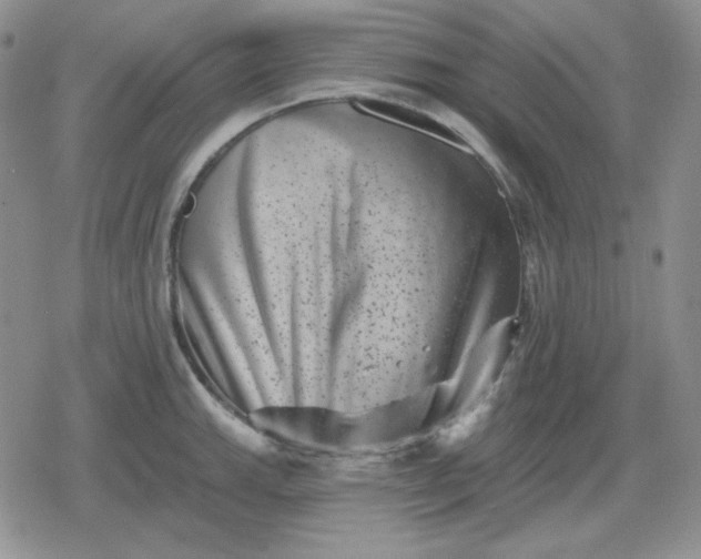 X0000080181143200612221309