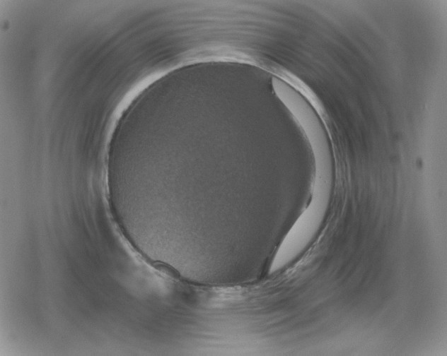 X0000080181144200612221309